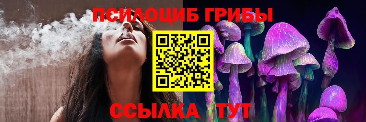 Галлюциногенные грибы GOLDEN TEACHER Димитровград